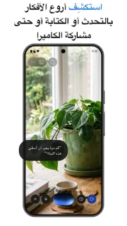 لقطة شاشة