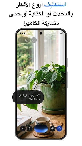 لقطة شاشة