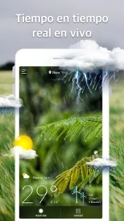Captura de pantalla