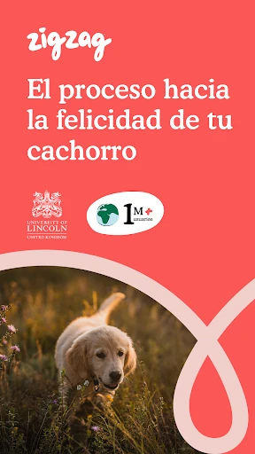 Captura de pantalla