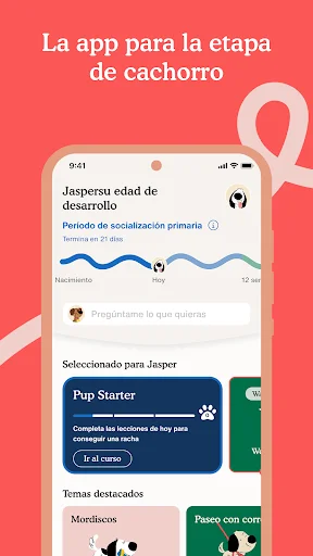 Captura de pantalla