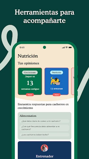 Captura de pantalla