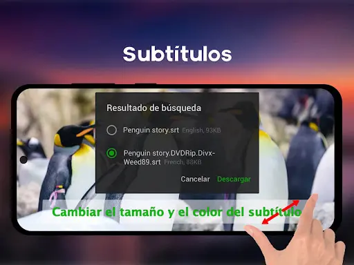 Captura de pantalla