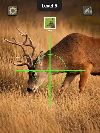 Capture d’écran