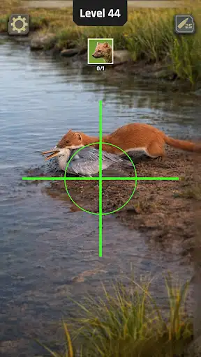 Capture d’écran