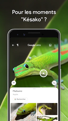 Capture d’écran