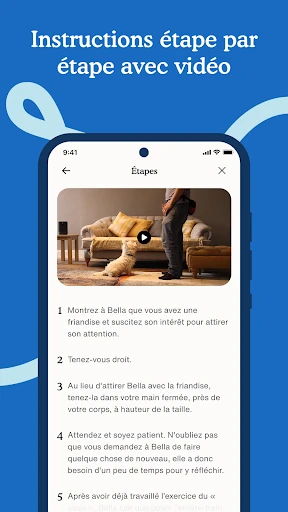 Capture d’écran