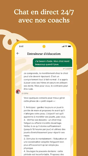 Capture d’écran