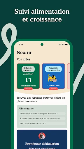 Capture d’écran