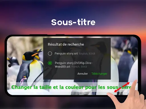 Capture d’écran