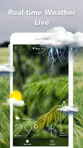 ภาพหน้าจอ