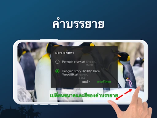 ภาพหน้าจอ