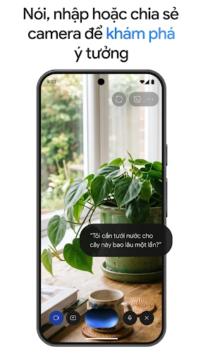 Ảnh chụp màn hình