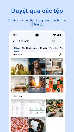 Ảnh chụp màn hình